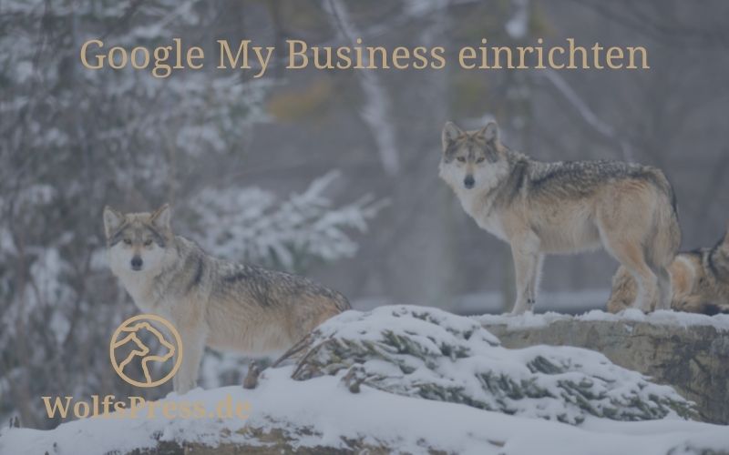 Google My Business für Dein lokales Unternehmen einrichten